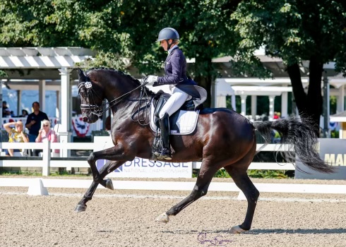 4CD4F1A0-8644-46A1-A865-FC75311E382C